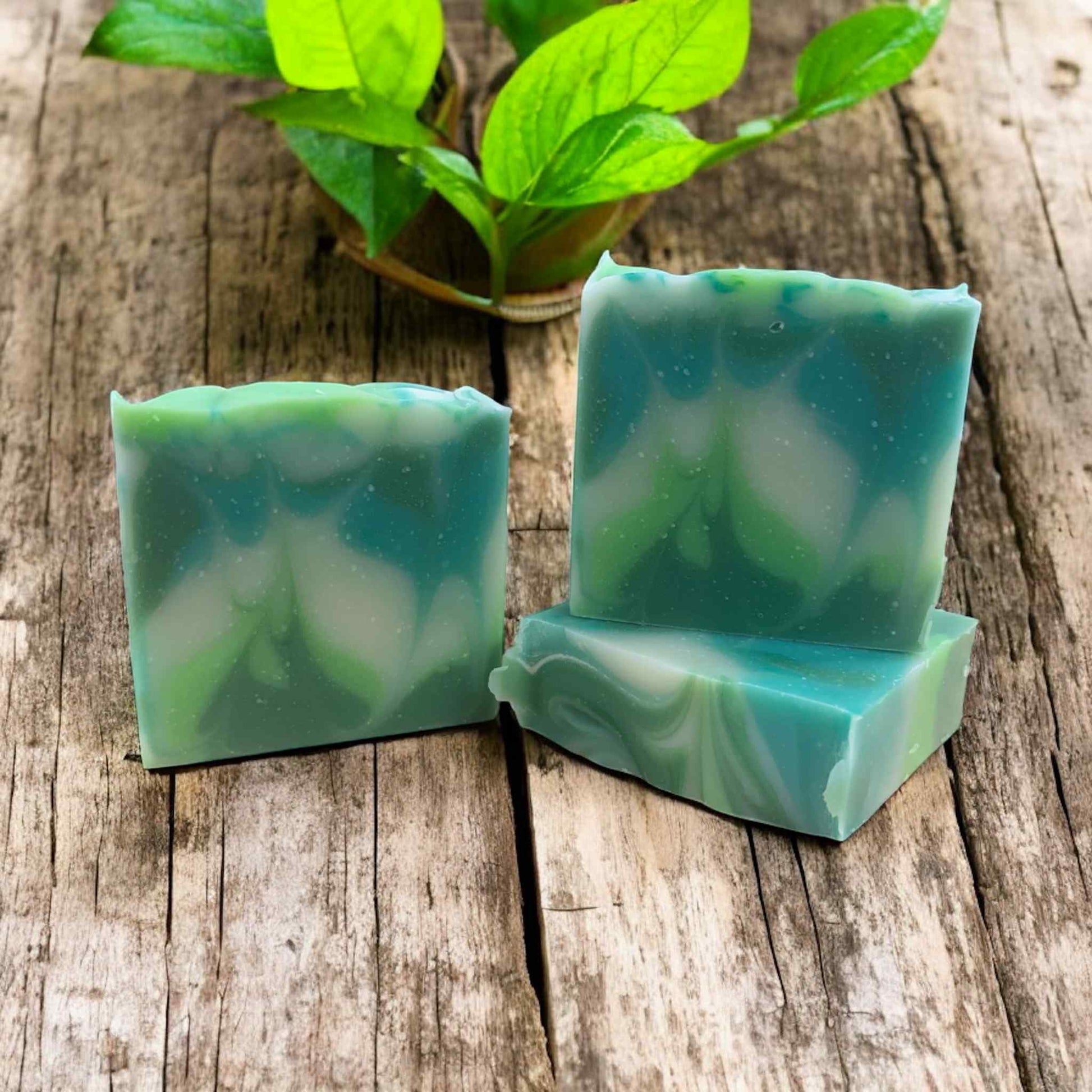 4oz soap bar, colored lime green, teal and while. Scented with cannabis flower fragrance oil